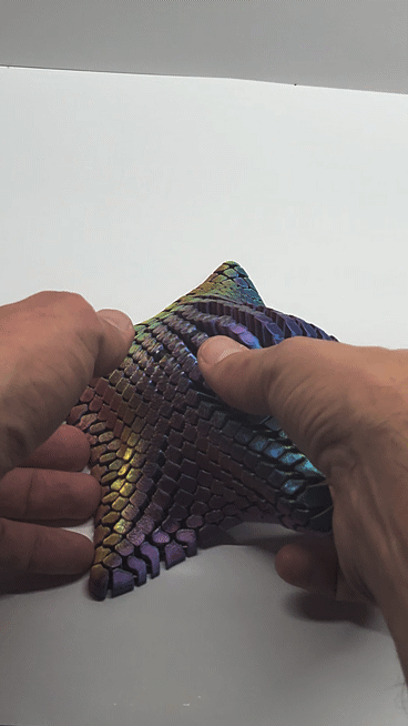 Articulated 3D Printed Starfish
